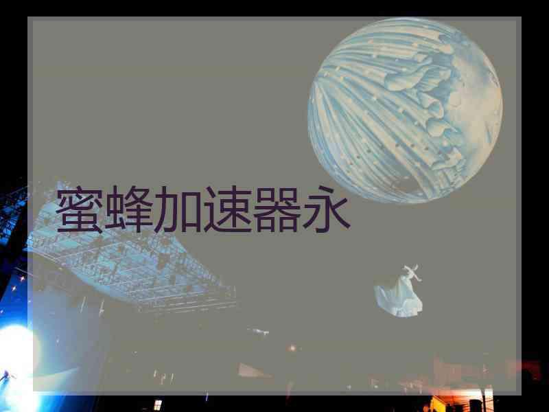 蜜蜂加速器永