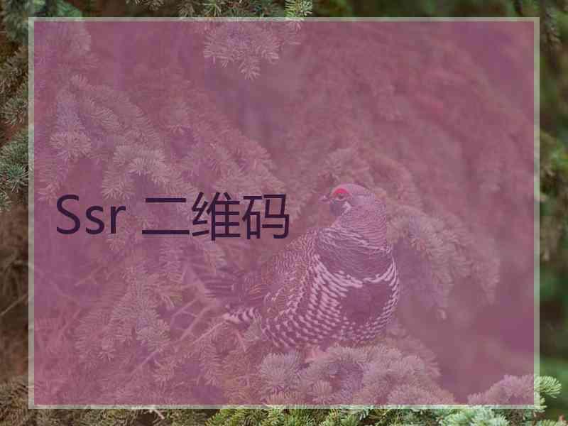 Ssr 二维码