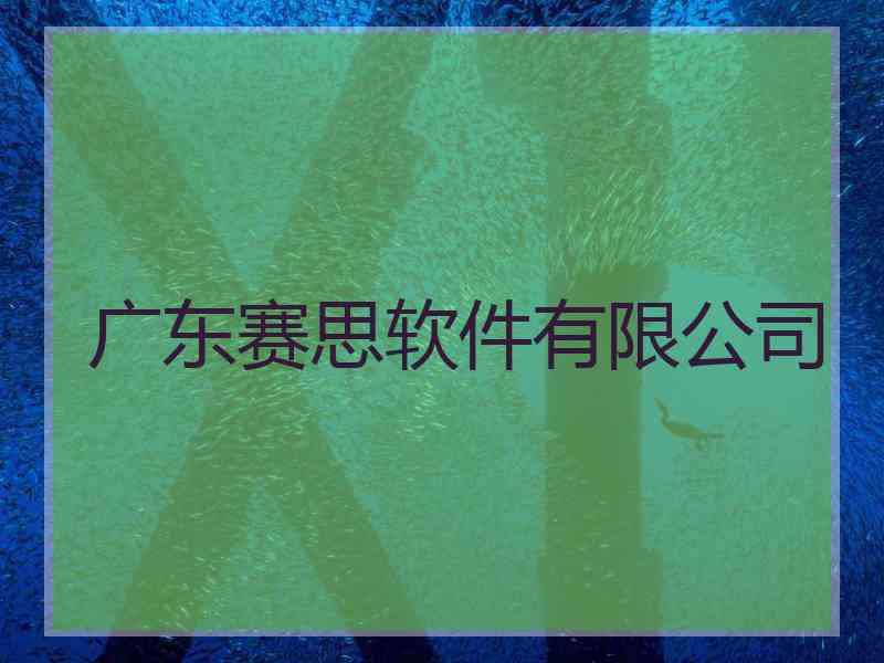 广东赛思软件有限公司