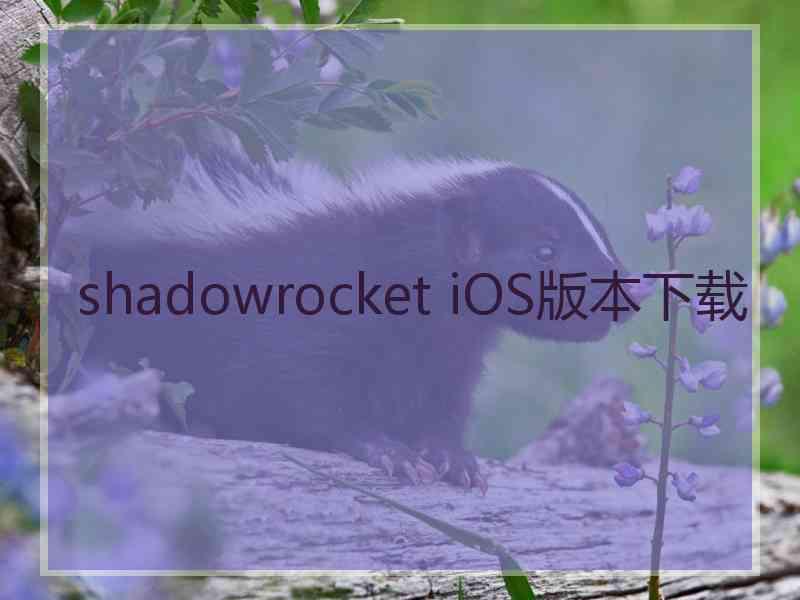 shadowrocket iOS版本下载