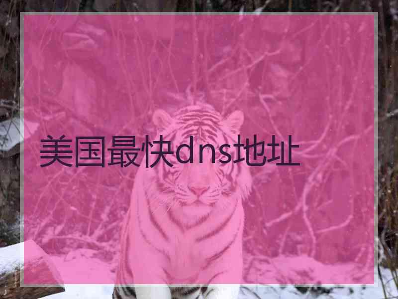美国最快dns地址