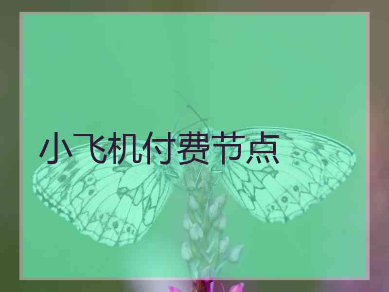 小飞机付费节点