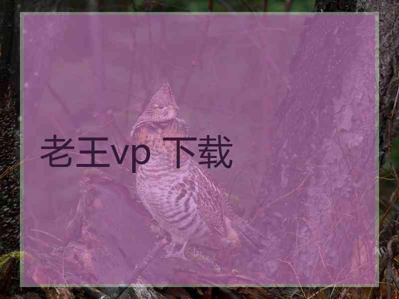 老王vp 下载
