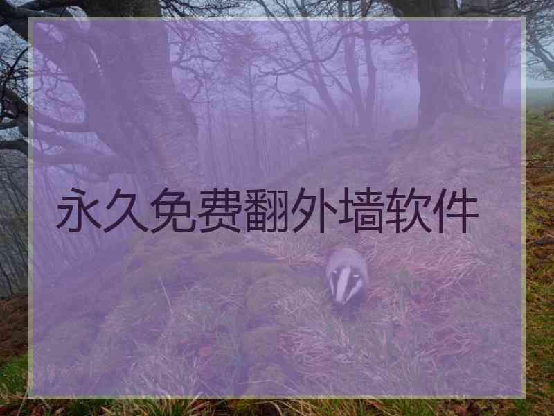 永久免费翻外墙软件