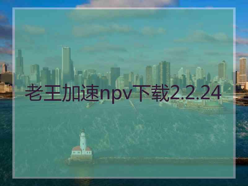 老王加速npv下载2.2.24