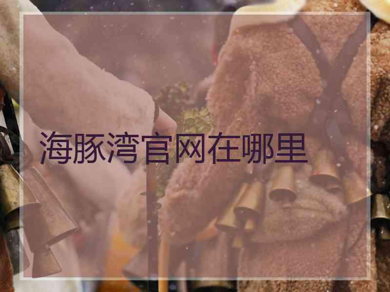 海豚湾官网在哪里