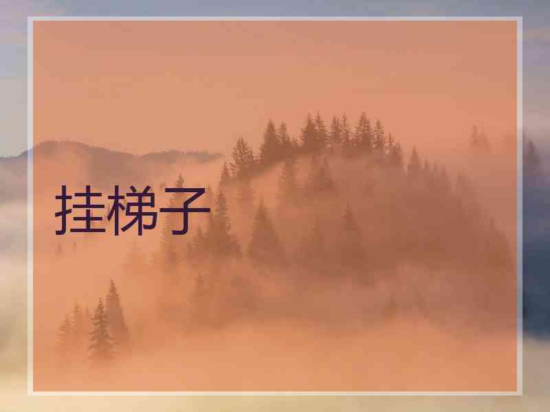 挂梯子