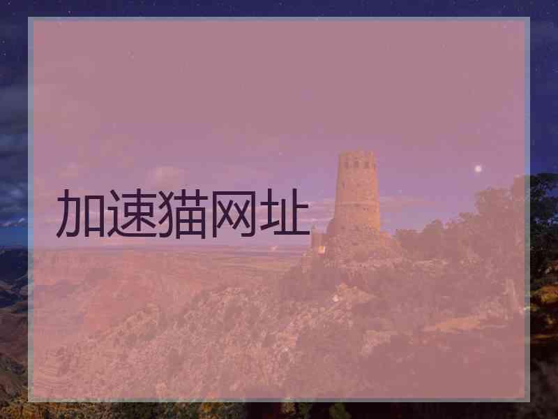 加速猫网址