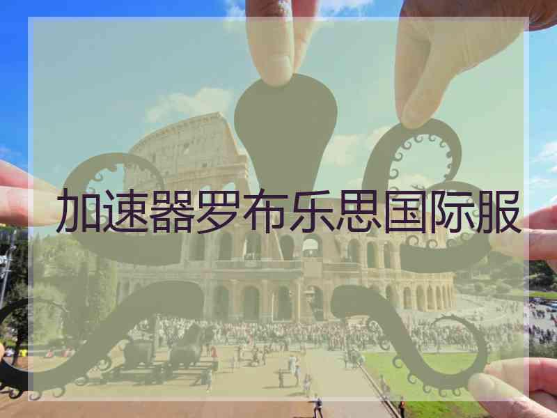 加速器罗布乐思国际服