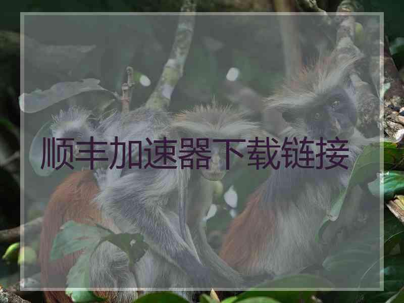 顺丰加速器下载链接