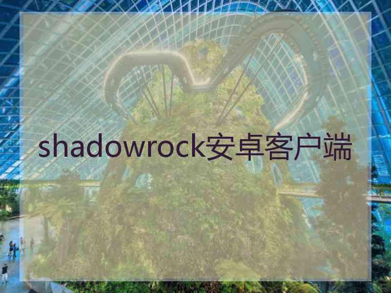 shadowrock安卓客户端