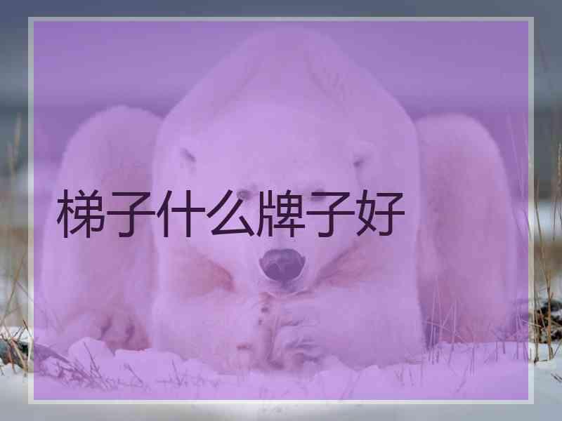 梯子什么牌子好