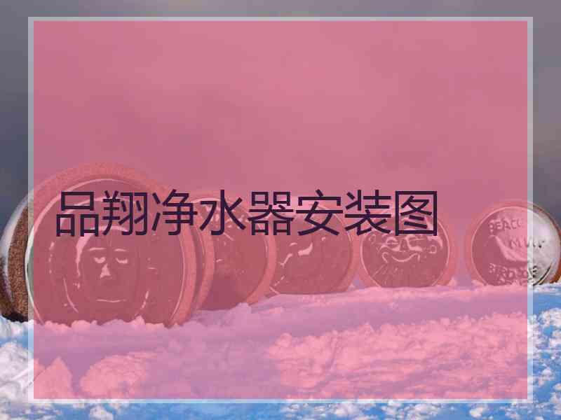 品翔净水器安装图