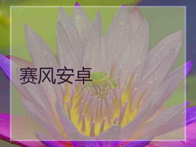 赛风安卓