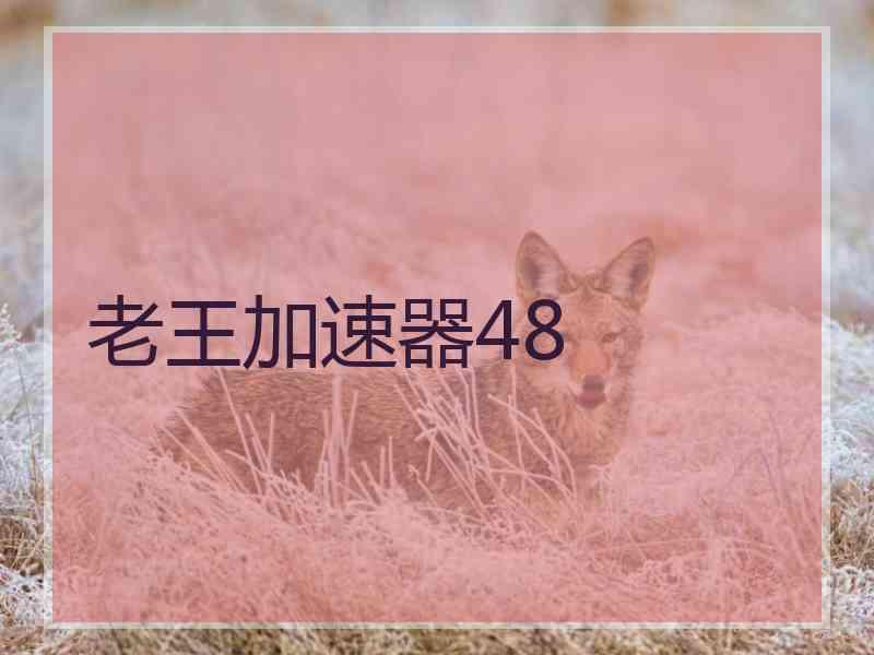 老王加速器48