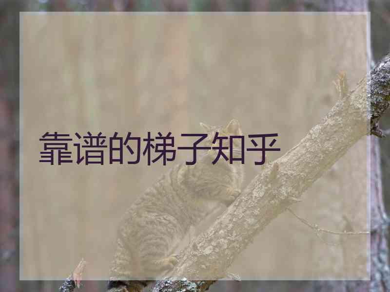 靠谱的梯子知乎
