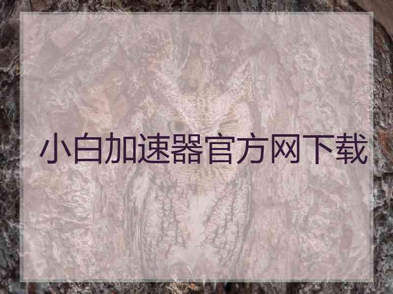 小白加速器官方网下载