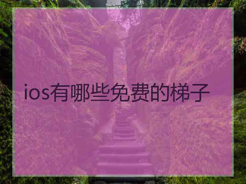 ios有哪些免费的梯子