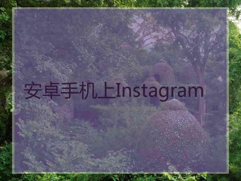安卓手机上Instagram
