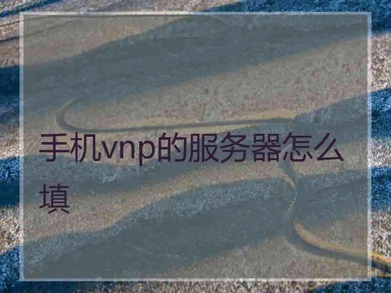 手机vnp的服务器怎么填