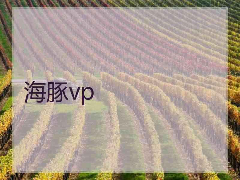 海豚vp