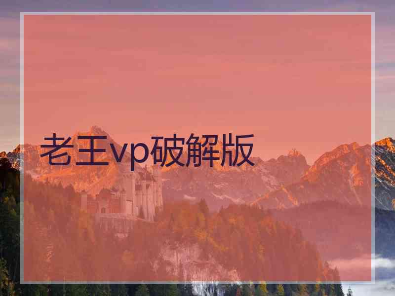 老王vp破解版