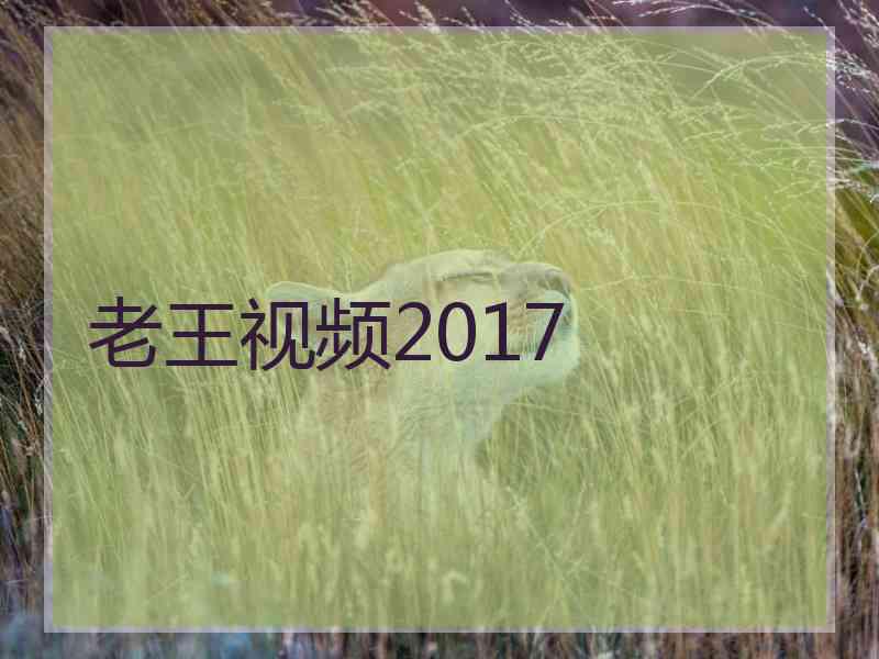 老王视频2017