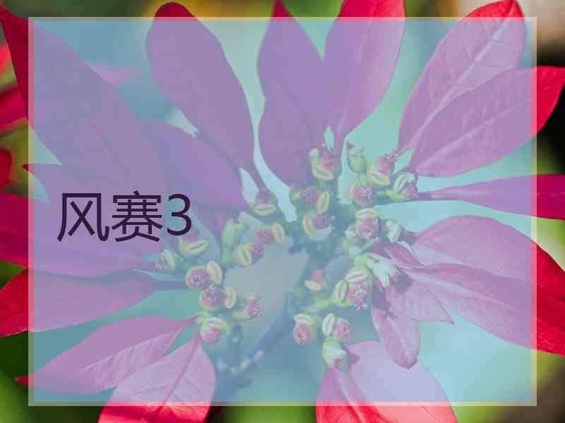 风赛3