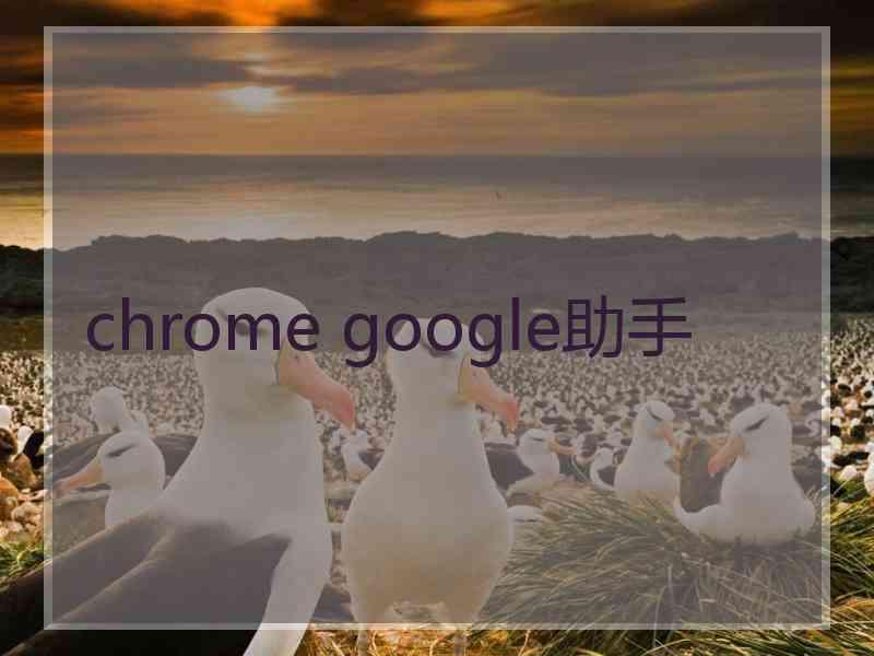 chrome google助手