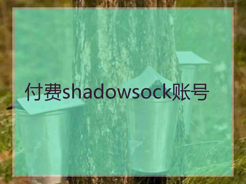 付费shadowsock账号