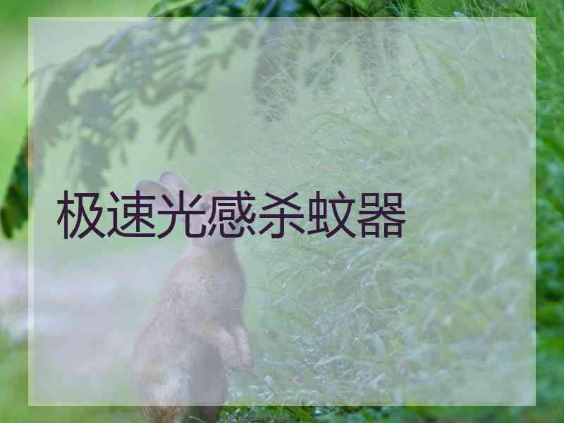 极速光感杀蚊器