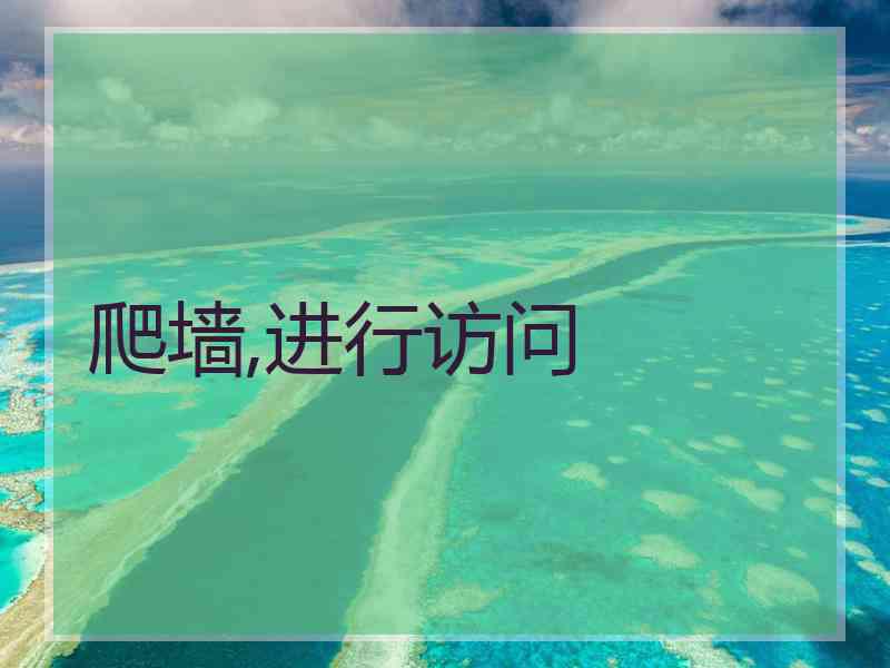 爬墙,进行访问