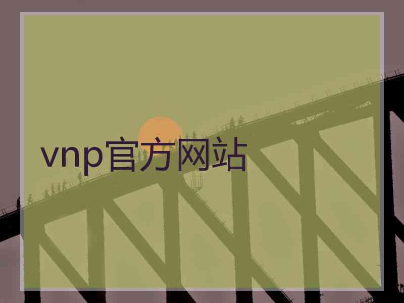 vnp官方网站