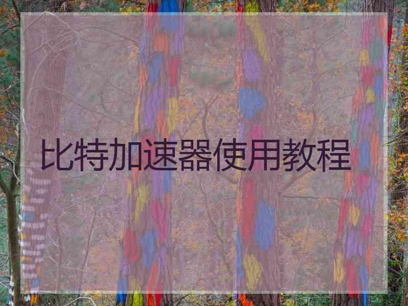 比特加速器使用教程