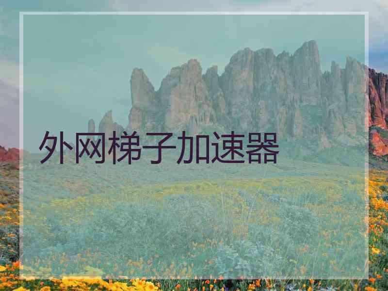 外网梯子加速器