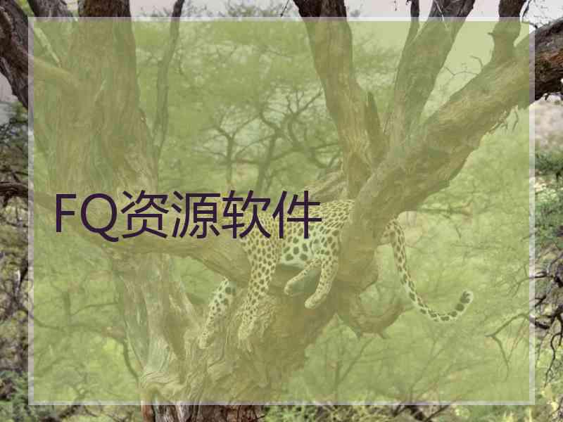 FQ资源软件