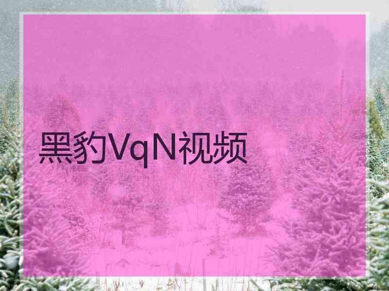 黑豹VqN视频