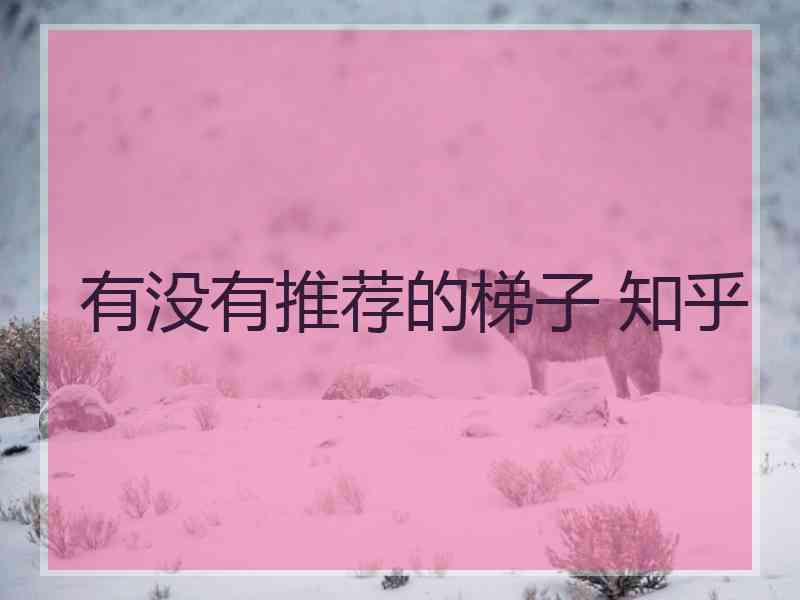有没有推荐的梯子 知乎