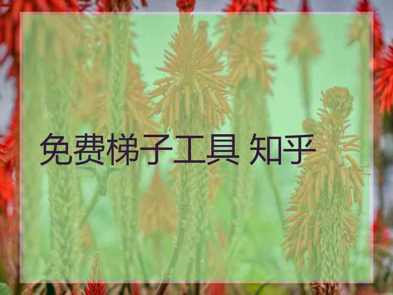免费梯子工具 知乎