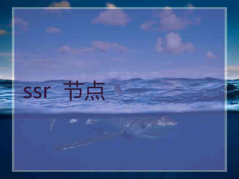 ssr  节点
