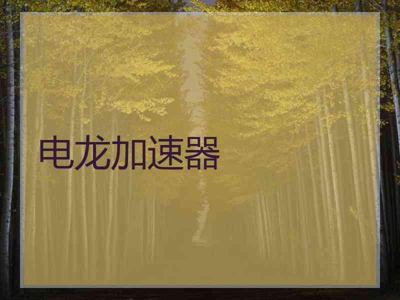 电龙加速器