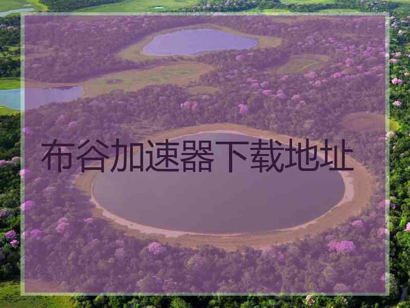 布谷加速器下载地址