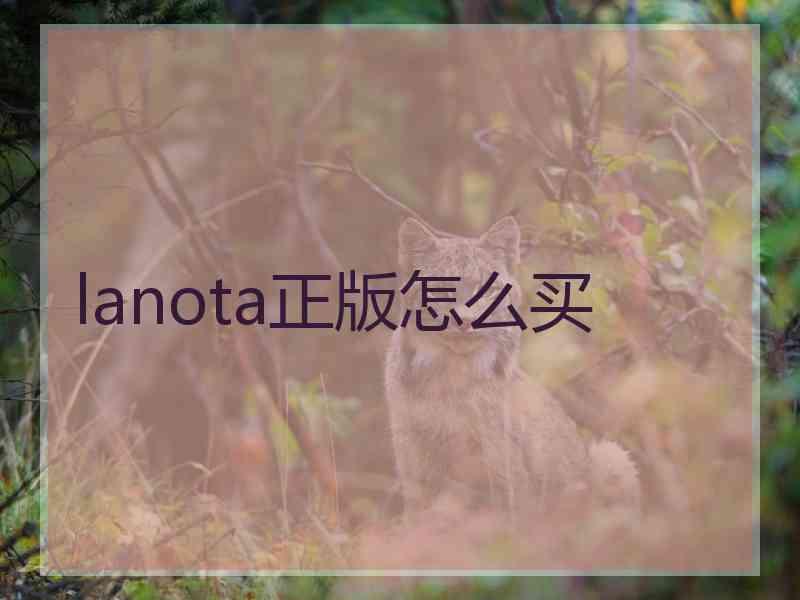 lanota正版怎么买