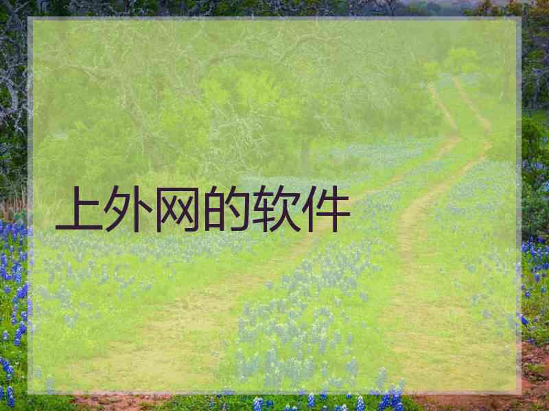 上外网的软件