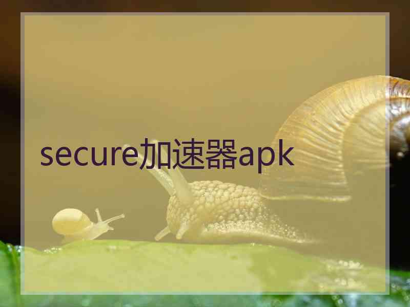 secure加速器apk