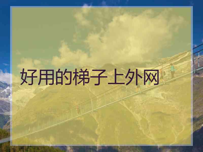 好用的梯子上外网