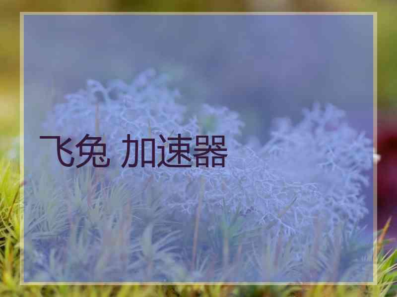 飞兔 加速器