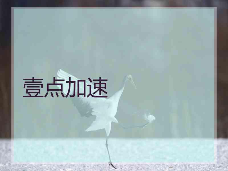 壹点加速