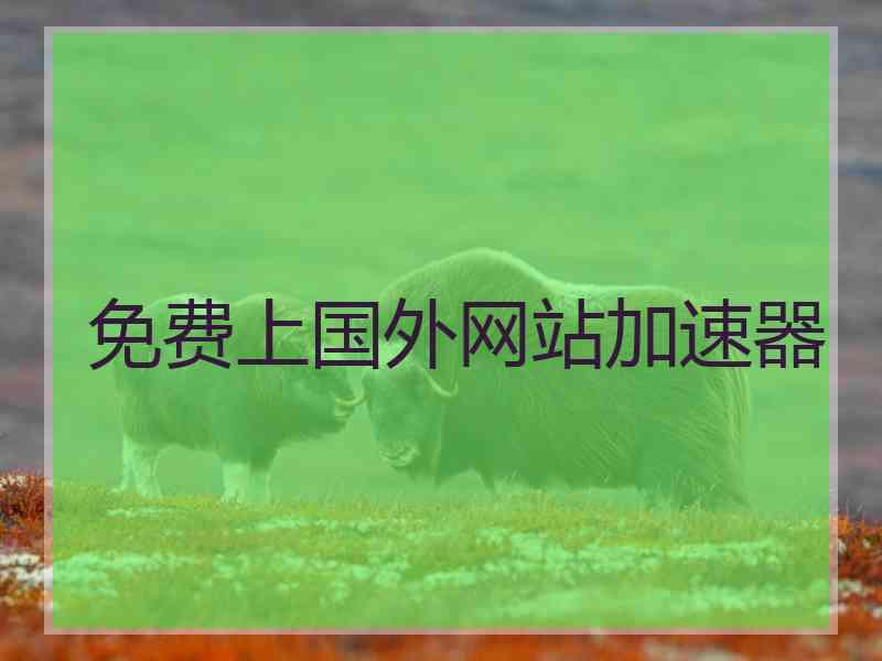 免费上国外网站加速器