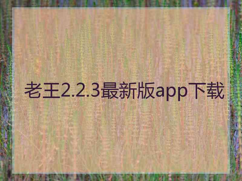 老王2.2.3最新版app下载